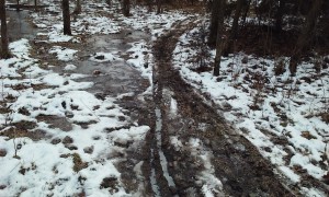 wp muddy, frozen trail