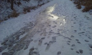 ice sheen on mopac