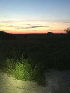 Testing lights at sunset on the MoPac last week.